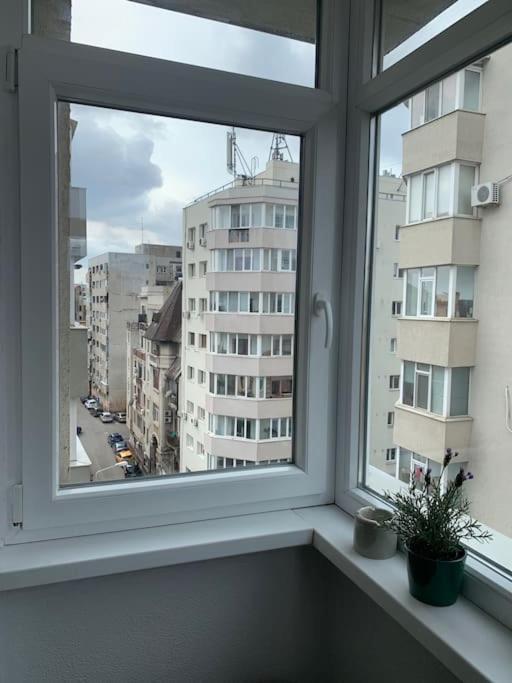 Appartamento Wonderful Bucarest